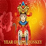 Year of The Monkey